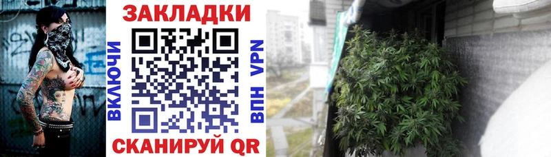 Где купить наркоту Дальнереченск СК LSD-25 МЕФ Каннабис ГАШИШ COCAIN