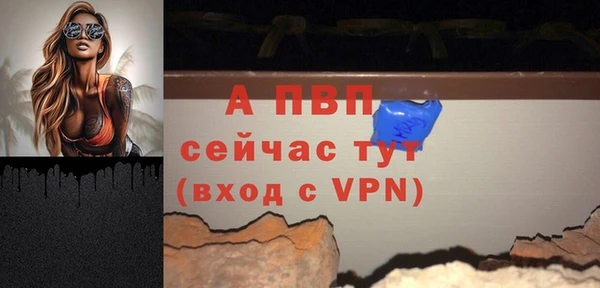 стафф Абаза