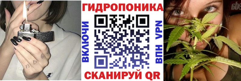 Каннабис сатива  mega онион  Дальнереченск 